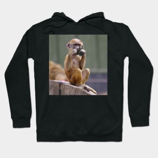 Monkey with a camera Hoodie